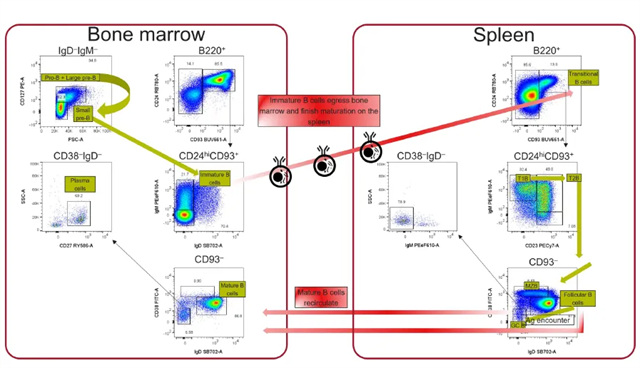 1758870217915422.jpg wx_fmt=png&tp=webp&wxfrom=5&wx_lazy=1(7).jpg