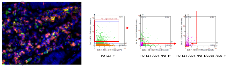 1770022068645546.png TG0202.png