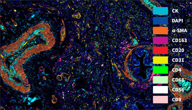 1770087115315732.png tg0702.png